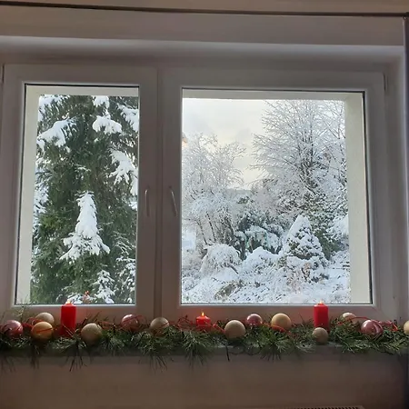 Poziomka Z Tarasem I Widokiem Na Gore Zar I Jezioro Miedzybrodzkie